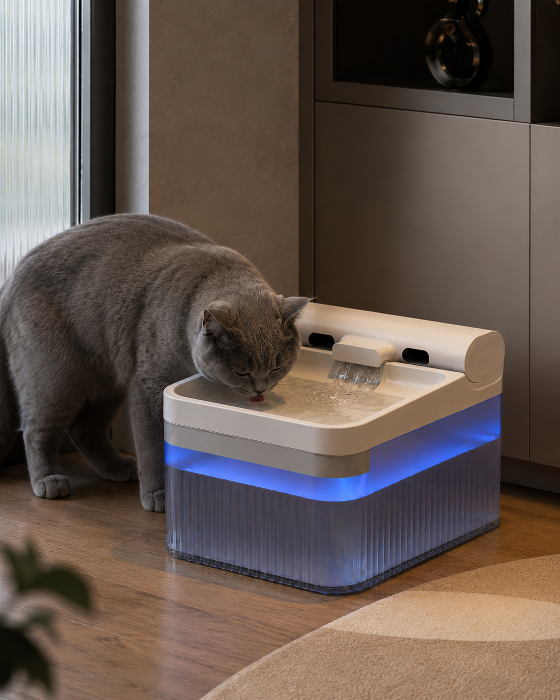 Fontaine Intelligente PurrFlow™