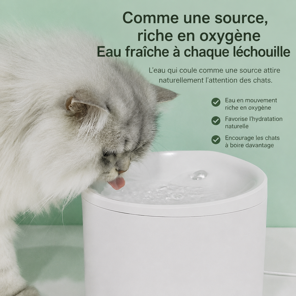 Fontaine intelligente PurrFlow Aqua Connect™